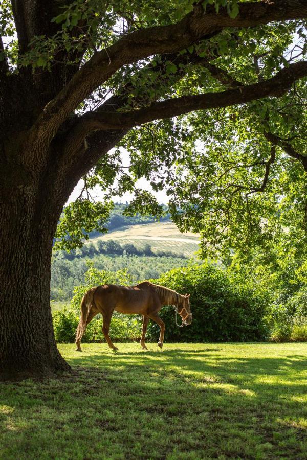 Agriturismo Molino Nuovo Castel San Pietro Terme Zewnętrze zdjęcie